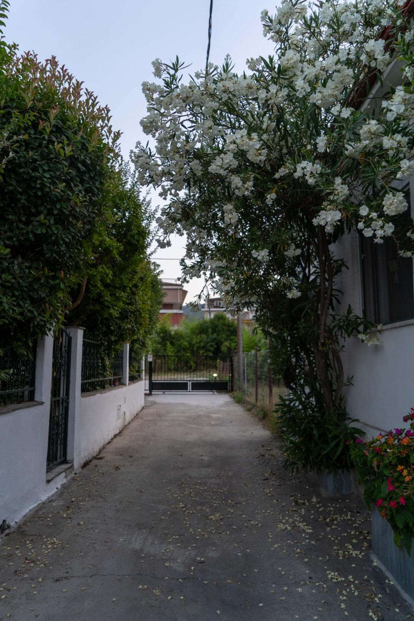 帕拉塔蒙Terrazzo House别墅 外观 照片